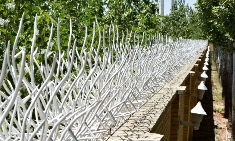 درب آکاردئونی و حفاظ شاخگوزنی