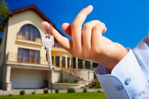 ۸. درخت‌ها و فضای سبز: زینت یا دردسر؟