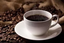 تعبیر و تفسیر گربه در فال قهوه