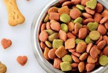 خرید غذای سگ و گربه
