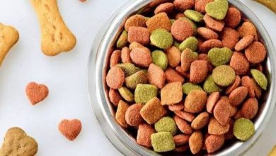 خرید غذای سگ و گربه