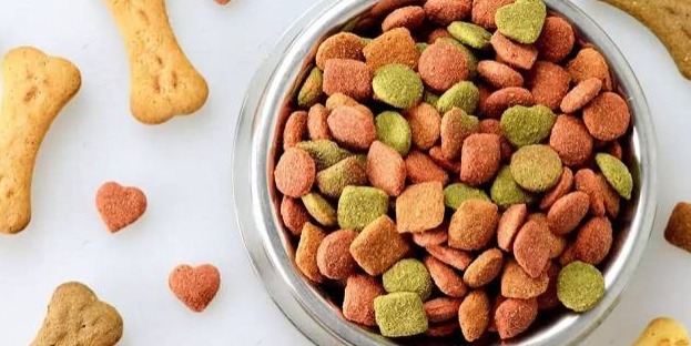 خرید غذای سگ و گربه
